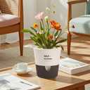 5/6.5/7.5 Inch Self Watering Pots for Indoor/Outdoor ,4 Pack plastic Planters for Indoor Plants with Drainage Holes and Saucers, Modern Decorative Flower Pot for Plants (White, 7.5-Inch, 4-Pack)