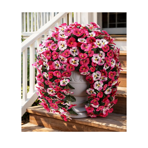 HyeFlora Artificial Flowers for Outdoors, 2pcs Faux Silk Pansies Flowers UV Resistant Fake Hanging Flower Plants for Outside Planters Porch Yard Patio Window Box (Mix Rose)