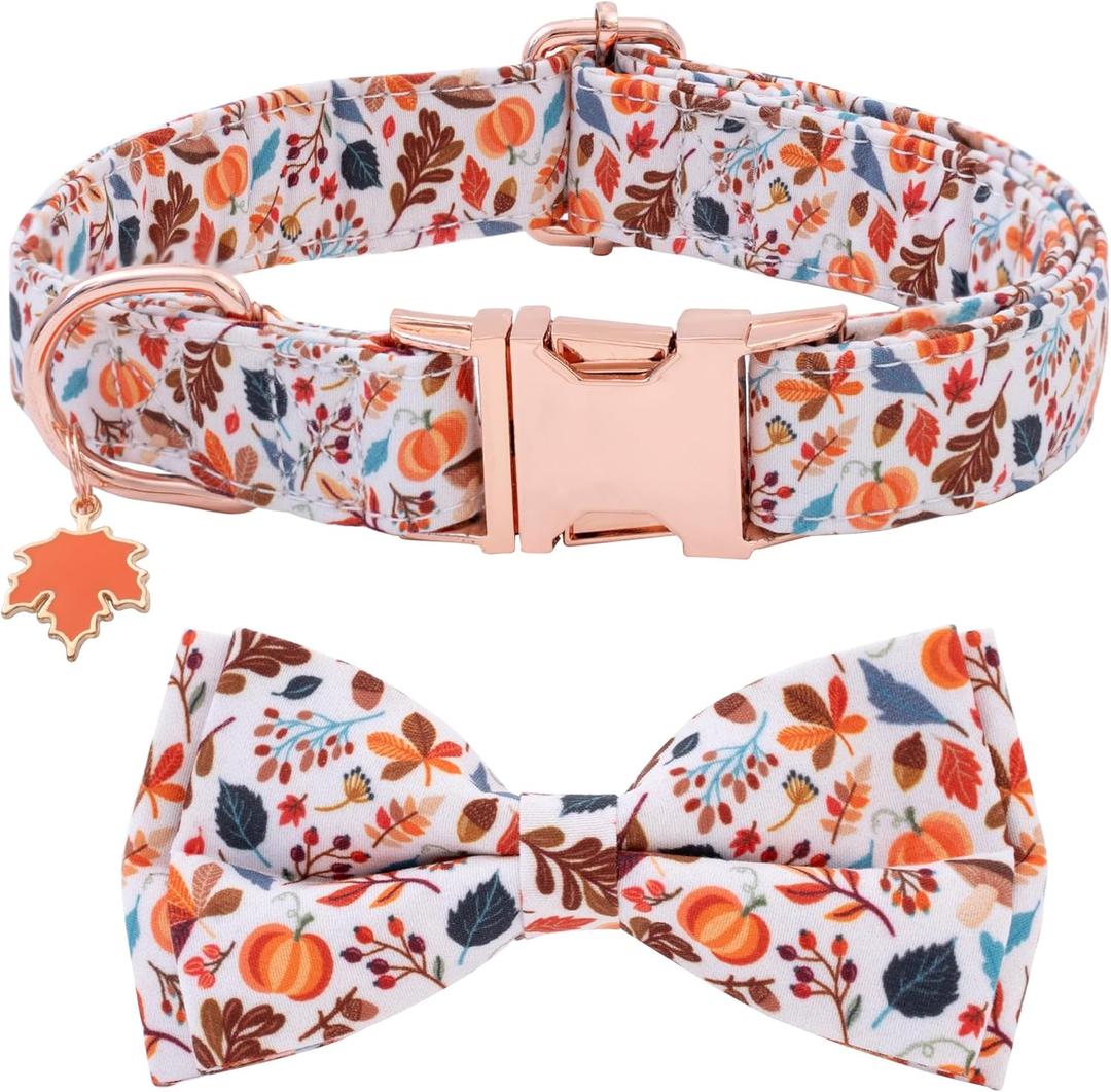 Faygarsle Bow Tie Halloween Fall Dog Collar for Small Medium Large Dogs Fashionable Cute Collars for Male Female Dog Cotton Collar with Metal Buckle Leaves Pumpkin Pattern M (Beige)