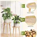 Plant Stand Indoor 2 Pack, Wood Mid Century Indoor Plant Stand, Tall Plant Stands for Flower Pot, Round Plant Table Side End Table With Raised Design, Natural Wood, 11.7"x18.8" & 11.7"x13"