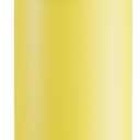 18 oz Insulated Water Bottle for Kids: Meoky Stainless Steel Water Bottle with 2-in-1 Straw and Spout Lid - Leak Proof, Fits in Car Cup Holder, BPA-Free for Sports School Backpacks, Golden Charm