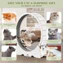 Cat Wheel, 53" XXL Large Exercise Running Wheels with Detachable Carpet for Indoor Cats