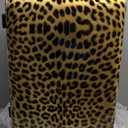 InUSA Cheetah Print Luggage with Spinner Wheels | Durable Lightweight Hardside Suitcase | Travel Bag with Handle and Trolley | 24-Inch Medium Checked luggage