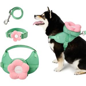 VETRESKA Flora Dog Harness, Leash and Collar Set, No Pull Dog Vest Harness for Walking and Training, Adjustable, Easy Control and Soft Padded Pet Harness and Backpack for Small Medium Large Dogs, XS