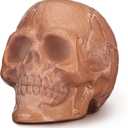 Halloween Terracotta Color Plastic Skull 5.9 Inch Life Size Human Skeleton Head Model for Halloween Indoor Outdoor Decor Party Centerpiece