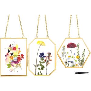 FOCHIER F 3 Pcs Pressed Flower Frames with Tweezers, Wall Hanging Double Glass Frames with Metal Chain for Pressed Dried Flowers Plants, Golden