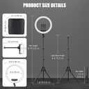 Ring Light with Stand and Phone Holder, 19" Ring Light Tripod for iPhone, Professional LED Circle Light with 78" Tripod, Selfie Ringlight for Live Streaming, Makeup, Barber, TikTok, YouTube, White