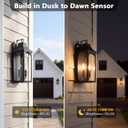 17-Inch Dusk to Dawn Outdoor Wall Lights, Black Exterior Lantern