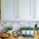 Asidrama 10 Pack 12.6 Inch(320mm) Brushed Brass Kitchen Cabinet Handles, Cabinet Pulls Kitchen Cabinet Hardware for Cupboard Drawer Pulls