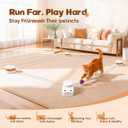 Interactive Cat Toy for Indoor Cat,Automatic Treadmill for Exercise