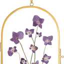 REDHUGO Glass Pressed Flower Frame Handmade, Glass Frame For Pressed Flowers Wall Hanging Floating Frame Unique Double Glass Picture Frame for Dried Flowers Poster Home, ArcShaped, Gold (FRAME ONLY)