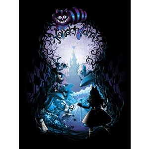 Youtheart Painting with Diamonds Alice Wonderland Diamond Art, 5D Full Drill Cross Stitch Embroidery Kit (12"X16", AR151)