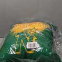 Northwest Pillow (18 x 18-Inch, Vintage Burst)