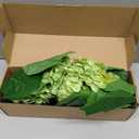 4 PCS Real Touch Hydrangea Artificial Flowers 20.5", Green Latex Faux Hydrangeas Large Fake Flowers with Stems Leaves for Family Table Wedding Bouquets Party Home Decor (4, Green, 20.5'')