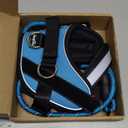 Haapaw Essential Dog Harness, No Pull Pet Vest with 3 Leash Clips, No Choke, Reflective, Adjustable and Padded, for Easy Walking and Training for Small Dogs (S, Blue)