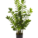 Nearly Natural 3 ft Artificial Zamioculcas ZZ Plant with Nursery Pot
Quality Glossy Foliage, Realistic Stems, Non-Decorative Nursery Pot, Tropical Accent for End Tables