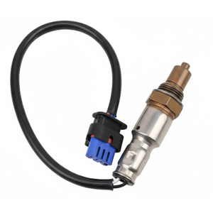 O2 Oxygen sensor