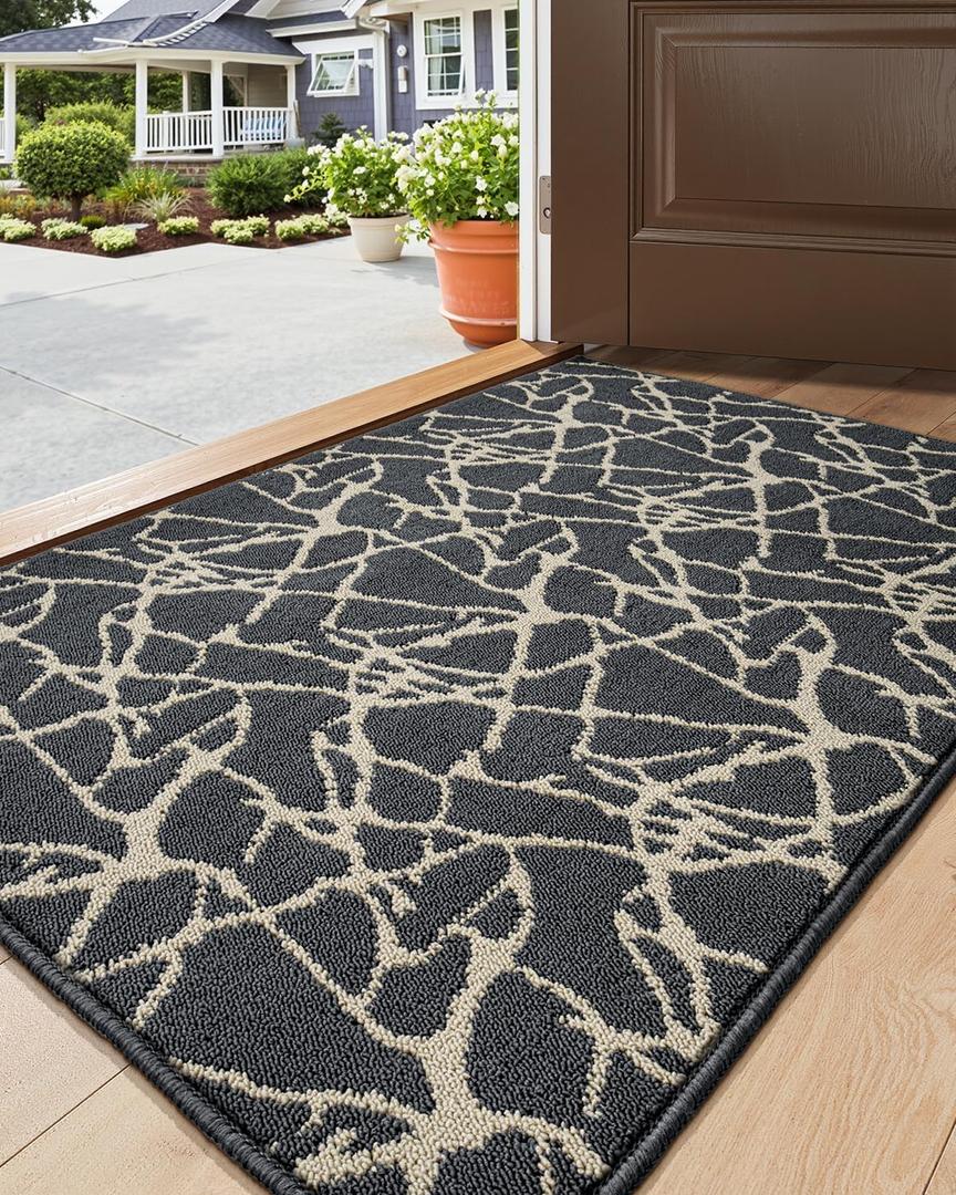 DEXI Front Door Mat for Entryway, Dirt Trapper Non Slip Absorbent Entry Rugs, Low Profile Washable Abstract Welcome Doormat for Inside Entrance Floor, 24 x36, Dark Grey