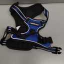 rabbitgoo Dog Harness No Pull with 2 Leash Clips, Adjustable Soft Padded, Reflective Oxford No Choke Pet Vest with Easy Control Handle for Small Dogs, Dazzling Blue, S