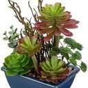 Small Faux Plant Assorted Fake Succulents Plants with Glazed Ceramic Pot Faux Succulents Arrangement Cement Potted Desk Plants Small Fake Plants for Home Table Office Bathroom Shelf Living Room Decor