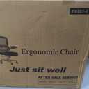 TRALT Office Chair - Ergonomic Desk Chair with Adjustable Lumbar Support, Mesh Computer Chair, Executive Chair for Home Office Comfortable Lumbar Support (1, White White), Pack of 1