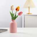 Small Pink Ceramic vase Dry Flower Vases for Home Decoration Bohe vase Dried Flowers houseplants Wedding, Home, Modern, Minimalist,Centerpieces Office Desk Best Decoration(S Pink)