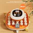 Chickcozy 25 Egg Incubator, Automatic Egg Turner with Thermometer Seat and Humidity Control, Egg Candler, 360 View with Clear Window, Incubators for Hatching Chicks (Sunlit Orange)