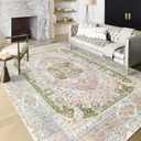 Casrage 6x9 Area Rugs Washable,Pink Rug for Living Room Bedroom Kitchen,Large Boho Vintage Bohemian Distressed Carpet Non Slip,Blush Green