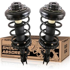 171419 171418 Front Suspension Struts Shocks Complete Assembly Shock Absorbers w/Coil Spring Compatible for Nissan Maxima Infiniti I30 3.0L 2000 2001 (Set of 2)