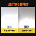 Ruiandsion BA20D LED Bulb 10-30V Non Polarity 1000Lm Hi/Lo Beam Super Bright White 3014 39SMD Chipsets for Motorbike Pack of 1