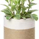 Dahey Small Cotton Rope Plant Basket Woven Plant Coiled Basket for Up to 7" Planter, Decorative Flower Pot Cover Closet Storage Bin Table Desk Organizer for Home Decor, White and Beige