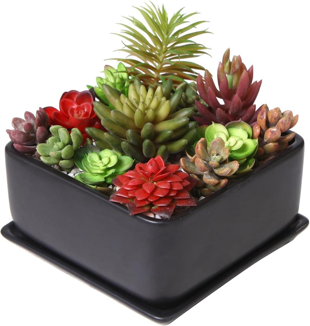MyGift Modern Black Ceramic Square Indoor Small Planter, Flower Succulent Plant Pot with Drainage Hole and Removable Drip Tray