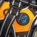 PHOEPET No Pull Dog Harness Medium Reflective Front Clip Puppy Vest with Handle, Adjustable 2 Metal Leash Attachment Hooks(M, Orange)