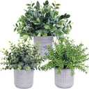 Set of 3 Assorted Small Potted Plants Fake Eucalyptus and Rosemary Plants in Gray Geometric Concrete Ceramic Pots for Gifts Home Kitchen Office Shelf Table Desk Modern Indoor Outdoor Greenery Decor
