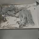 12 Pcs Christmas Paper Snowflake Lanterns, 3D Christmas Paper Star Lanterns with LED Lights, 10/12 Inch White Silver Hanging Snowflake Lamps for Xmas Winter Frozen Weddings New Year Party Decorations