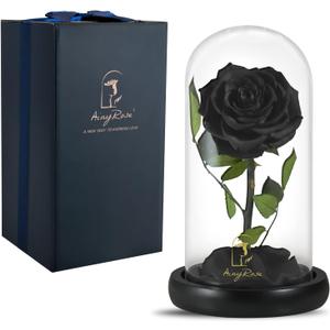 SW Forever Preserved Real Black Rose Flower Birthday Gift for Mom Women,Valentines Eternal Flower in Glass Gifts for Mothers Day Christmas Anniversary Birthday (Black)