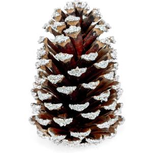 Frosted Pine Cones – Set of 15 Small 3–4" Loblolly Pinecones for Crafts, Christmas & Winter Decor, DIY Ornaments, Vase Fillers, Rustic Wedding Centerpieces & Seasonal Home Styling Events