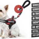 Service Dog Vest Harness and Leash Set, Animire in Training Dog Harness with 10 Dog Patches, Reflective Dog Leash with Soft Padded Handle for Small, Medium, Large, and Extra-Large Dogs