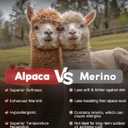 Alpaca Wool Micro Crew Hiking Socks Midweight Moisture Wicking Anti-blister Cushioned (Pink, L)