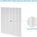 2 Pack True HEPA D4 Replacement Filters Compatible with Winix D480 Air Purifier, Item Number 1712-0100-00, Filter D4