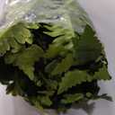 FOREST PRINCE 42" Artificial Boston Ferns, Bush Plants 2 Pack for Outdoors