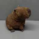 Jellycat Clyde Capybara Stuffed Animal, 9.5 inches - Capybara Plush Toy - Classic Children's Gift