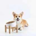 Petygooing White Raised/Elevated 15Slanted Ceramic Dog Bowl for Small Breeds,Tilted Anti Slip Pet Feeding Bowl,Food Water Dish with Stand for Cats and Small Dogs Puppy 13.5 OZ (5.1In / 1.7 Cups)