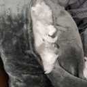 Orthopedic Dog Bed with Sides - Dog Sofa Beds for Extra Large Dogs, Supportive Foam Pet Couch Bed with Washable Removable Cover, Waterproof Lining and Non-Slip Bottom, Grey - XL-Plus