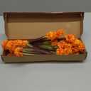 Fall Fake Mums Artificial Flowers, 6 Pack 42 Heads Faux Silk Small Chrysanthemum Ball Plastic Plants Outdoor UV Resistant for Autumn Home Kitchen Outside Porch Garden Pots Decoration (Orange)