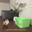 Low Entry Cat Litter Box with High Sides - Open-Top Anti-Splash, Durable Easy-Clean Pan for Kittens, Munchkin Cats, Senior Medium-Sized Cats & Small Pets (Rabbits), 19.3x13.3x7.8 Green