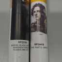 Trends International Marvel Black Panther: Wakanda Forever - Póster de pared Teaser One Sheet 2 Pack