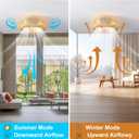 20" Boho Cage Ceiling Fan With Light And Remote Control, Low Profile Bamboo Ceiling Fan, Enclosed Timing 6 Speeds Reversible, For Bedrooms, Living Rooms, Kitchens, Farmhouses