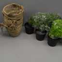 Giegxin Fall Mini Hanging Artificial Plant with Woven Basket Boho Fake Plants Ivy Faux Vines Eucalyptus Leaf for Thanksgiving Indoor Home Wall Shelf Decor(3 Set, Green, Hanging Plant Basket)