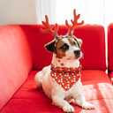 5 x Elegant little tail Christmas Dog Bandana, 1Pack Holiday Dog Scarf Dog Bandana Pink Winter Adjustable Dog Scarf Handkerchief Boy Girl Dog Bibs Scarf for Square Dog Kerchief for Small Large Dogs (Santa Claus)